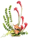 Touch of Tropics Arrangement